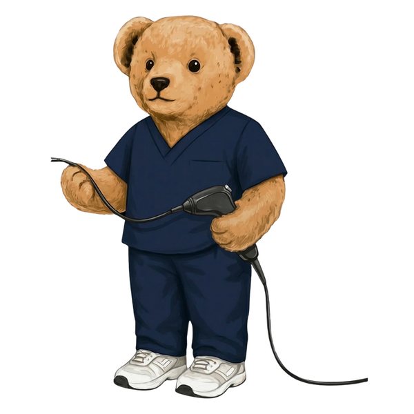 SLP Bear (FEES)