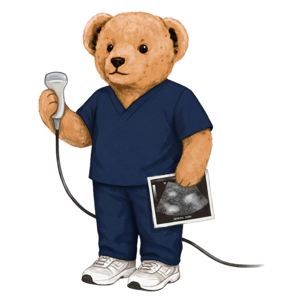 Sonography Bear